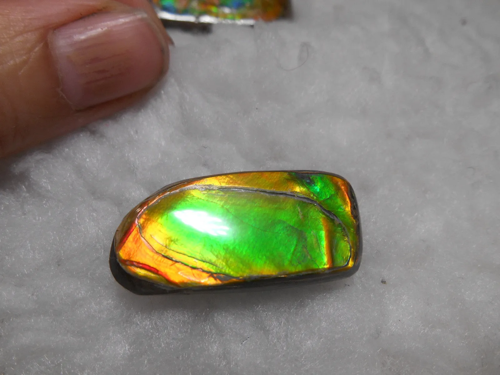 32 x 15 mm Natural  Free Form . FFN 231  Ammolite   ナチュラル　ルース　アンモライト フリーフォーム