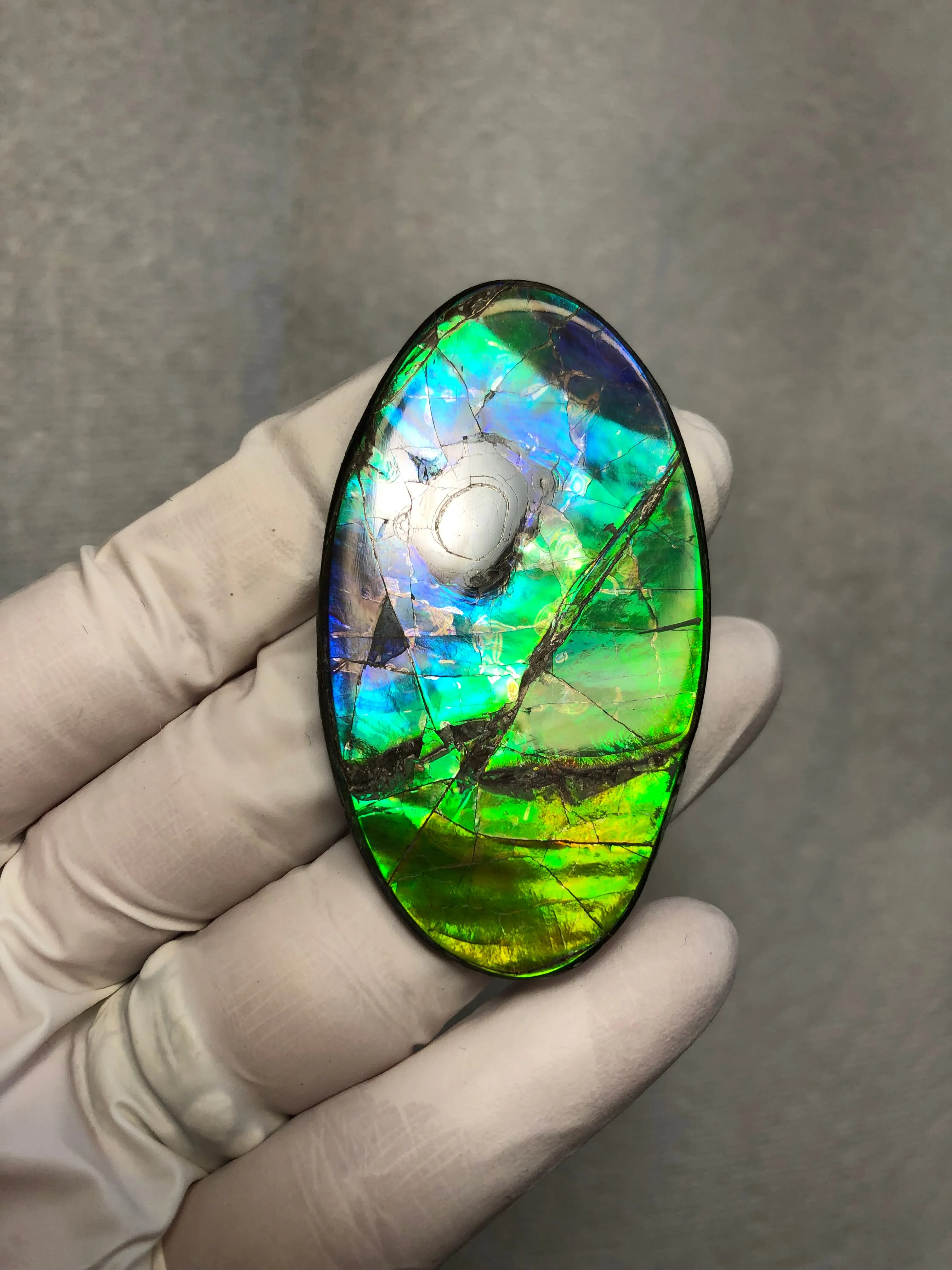 Auction CLOSED! Free shipping  🌈Auction!! **Please read the description**  Natural hand polished, Free Form . FFNT167 Ammolite High Grade.