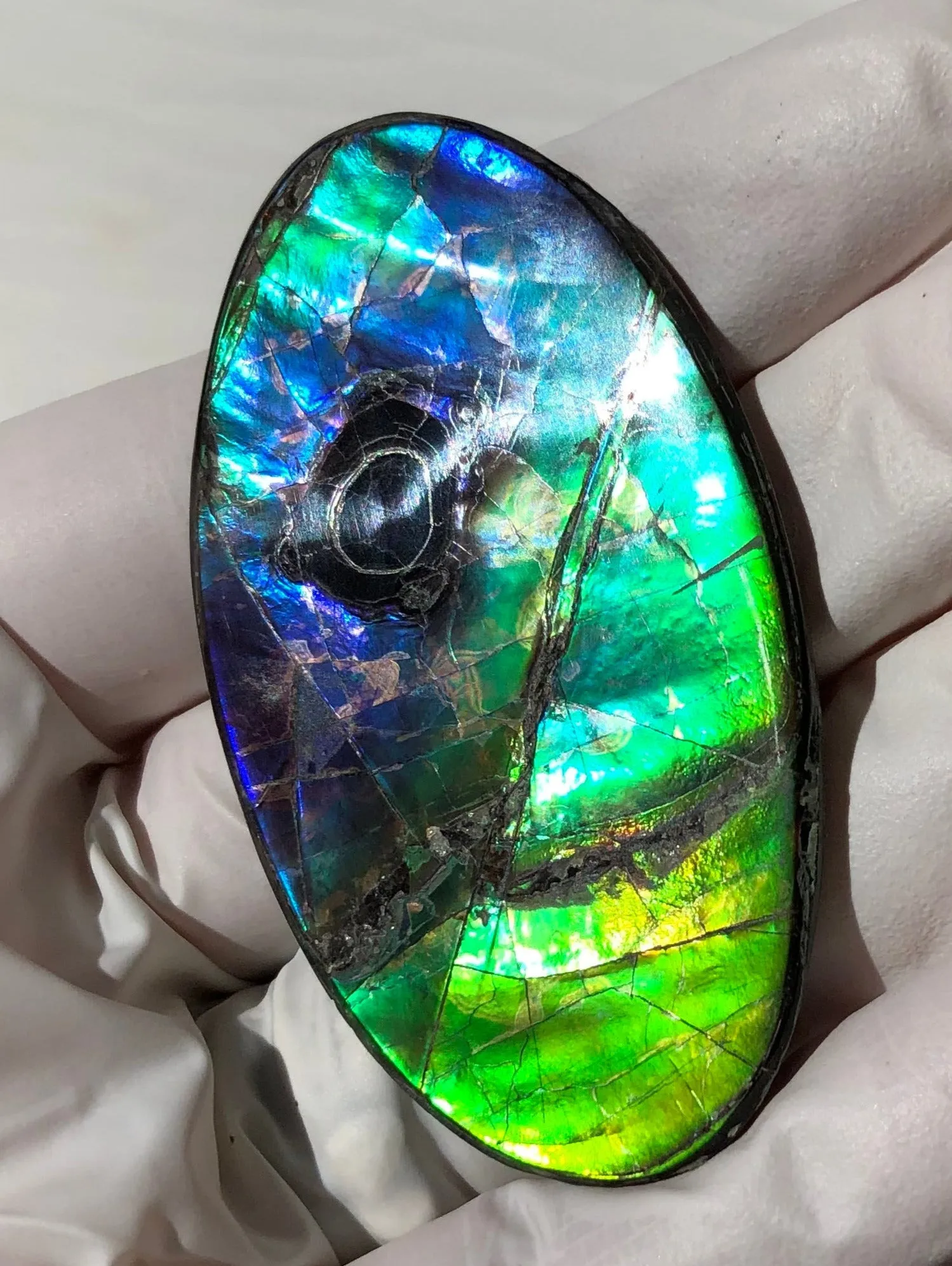 Auction CLOSED! Free shipping  🌈Auction!! **Please read the description**  Natural hand polished, Free Form . FFNT167 Ammolite High Grade.