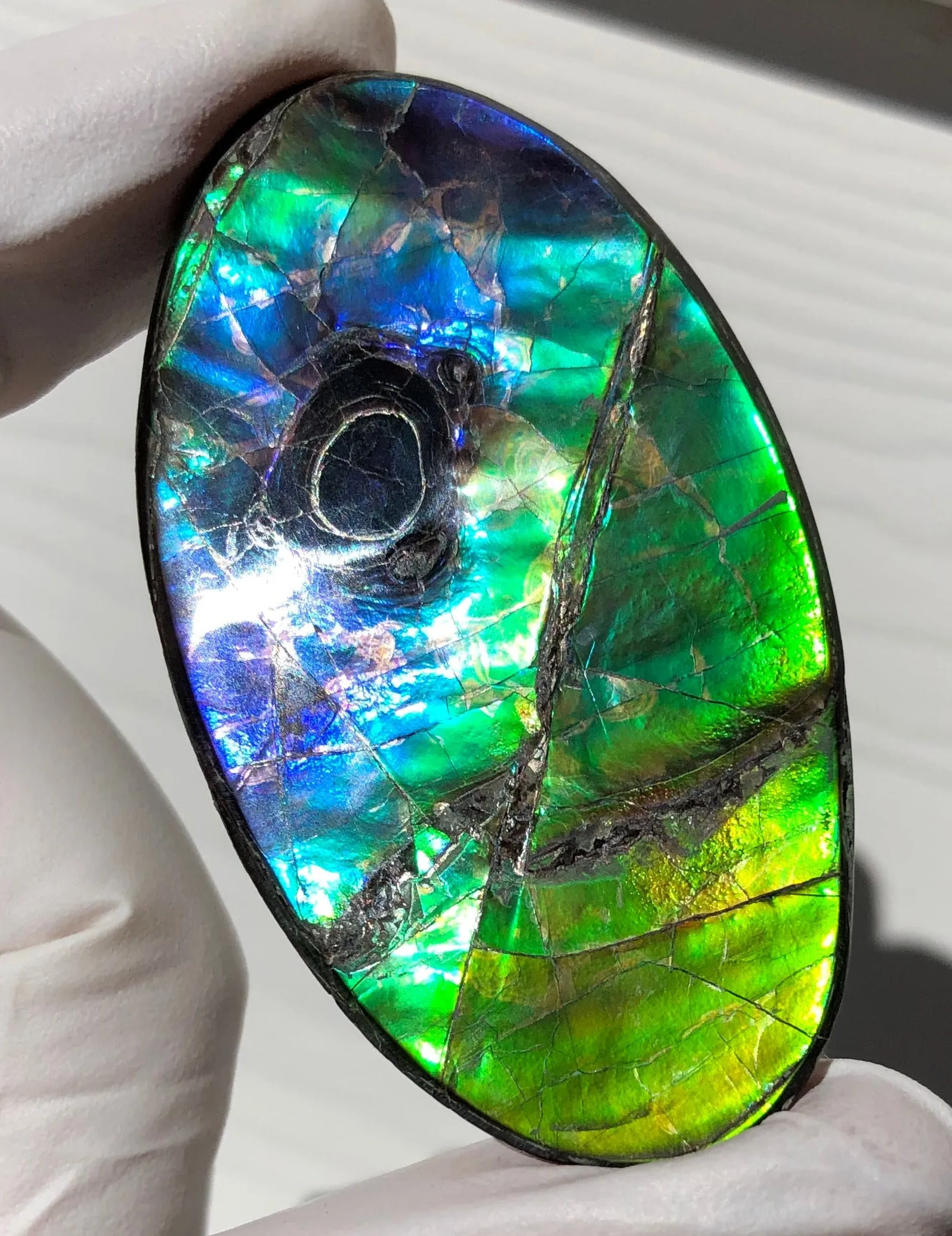 Auction CLOSED! Free shipping  🌈Auction!! **Please read the description**  Natural hand polished, Free Form . FFNT167 Ammolite High Grade.