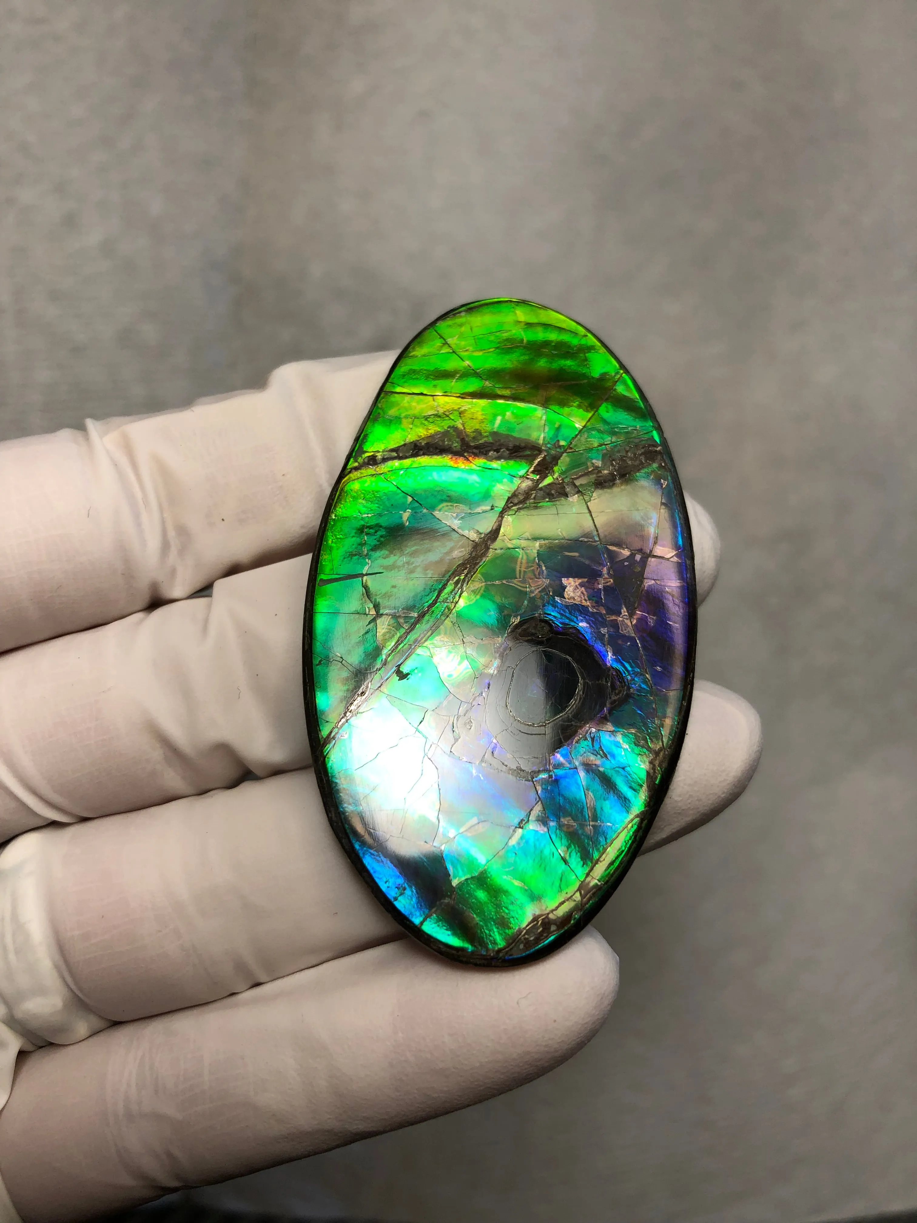 Auction CLOSED! Free shipping  🌈Auction!! **Please read the description**  Natural hand polished, Free Form . FFNT167 Ammolite High Grade.