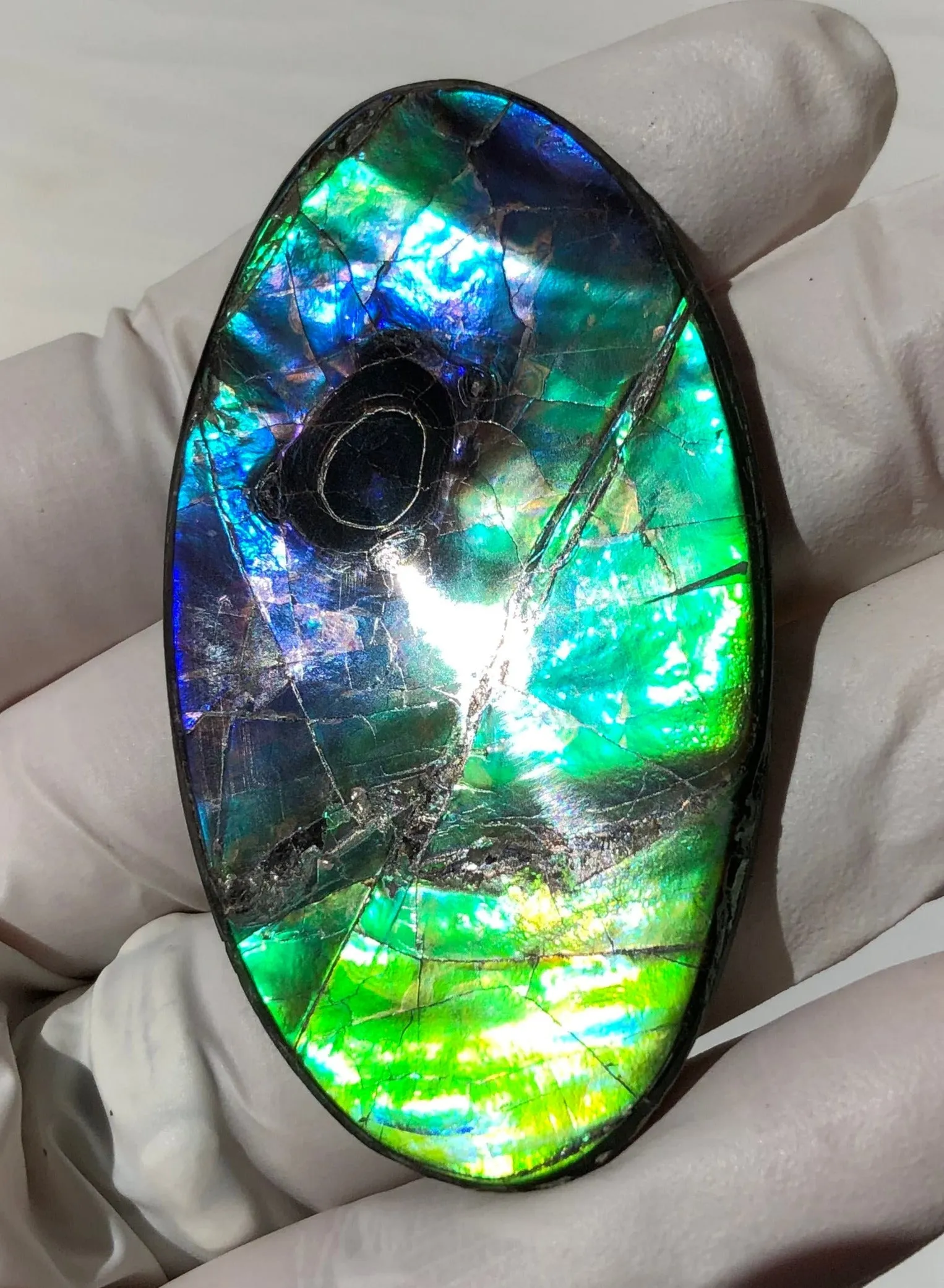 Auction CLOSED! Free shipping  🌈Auction!! **Please read the description**  Natural hand polished, Free Form . FFNT167 Ammolite High Grade.