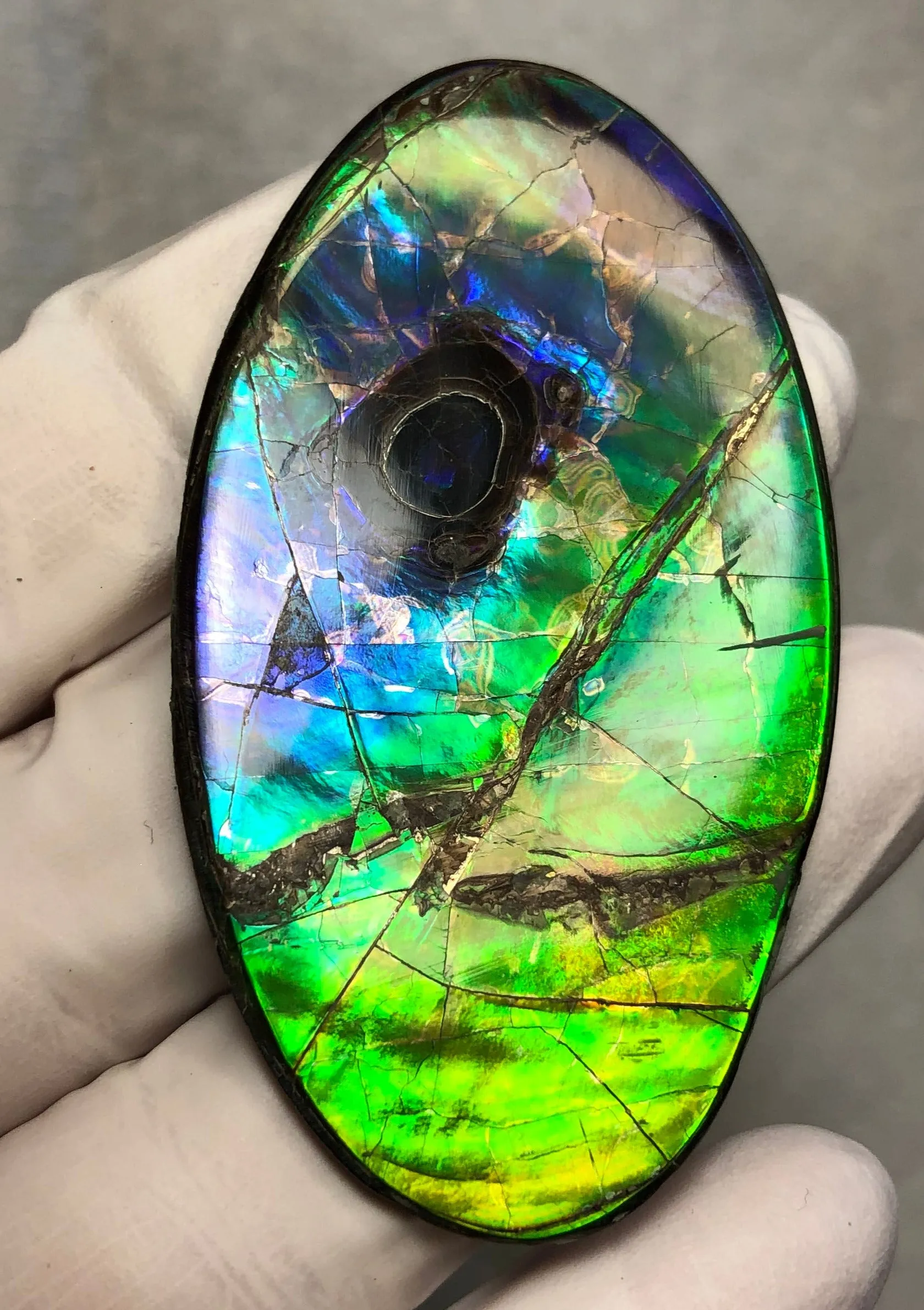 Auction CLOSED! Free shipping  🌈Auction!! **Please read the description**  Natural hand polished, Free Form . FFNT167 Ammolite High Grade.