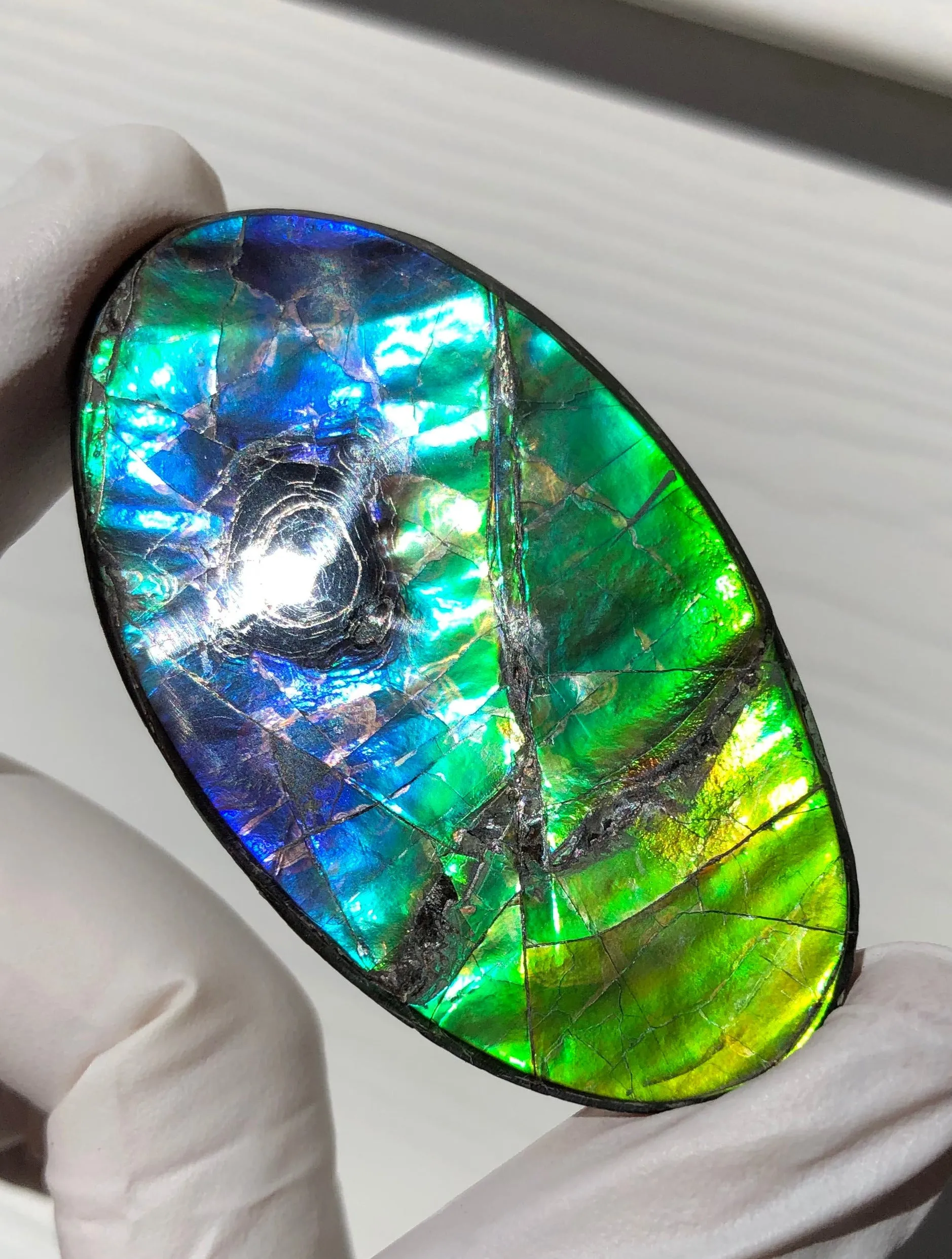 Auction CLOSED! Free shipping  🌈Auction!! **Please read the description**  Natural hand polished, Free Form . FFNT167 Ammolite High Grade.