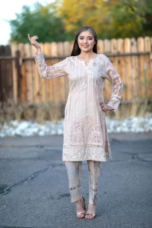 Beige Chiffon Salwar Kameez Suit