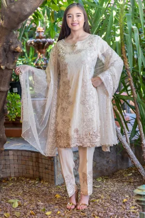 Beige Salwar-Kameez Chiffon Silk Suit