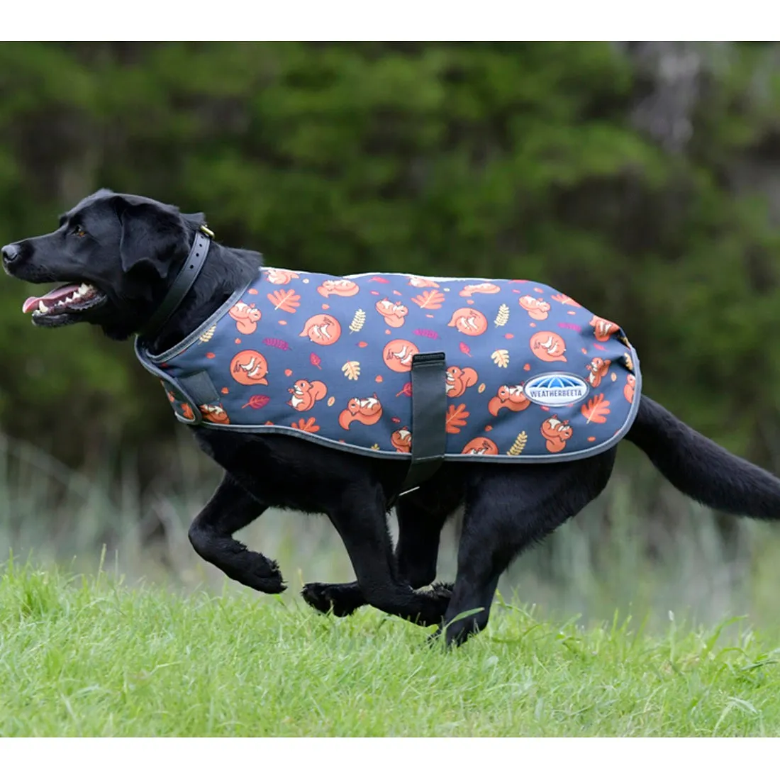 ComFiTec Squirrel Premier Free Parka Dog Coat Medium - Squirrel Print