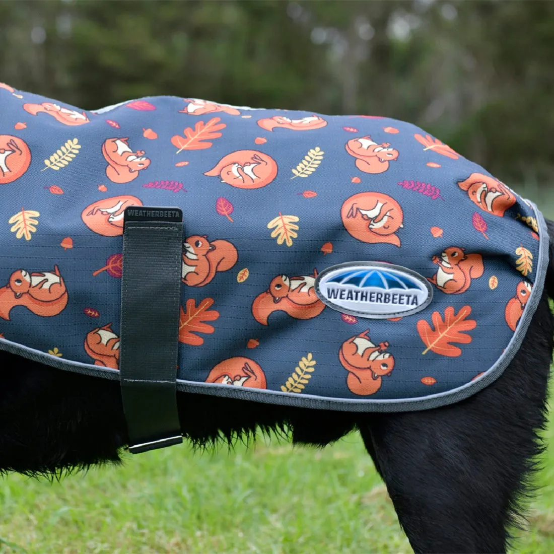 ComFiTec Squirrel Premier Free Parka Dog Coat Medium - Squirrel Print
