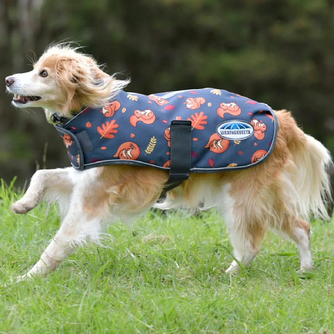 ComFiTec Squirrel Premier Free Parka Dog Coat Medium - Squirrel Print