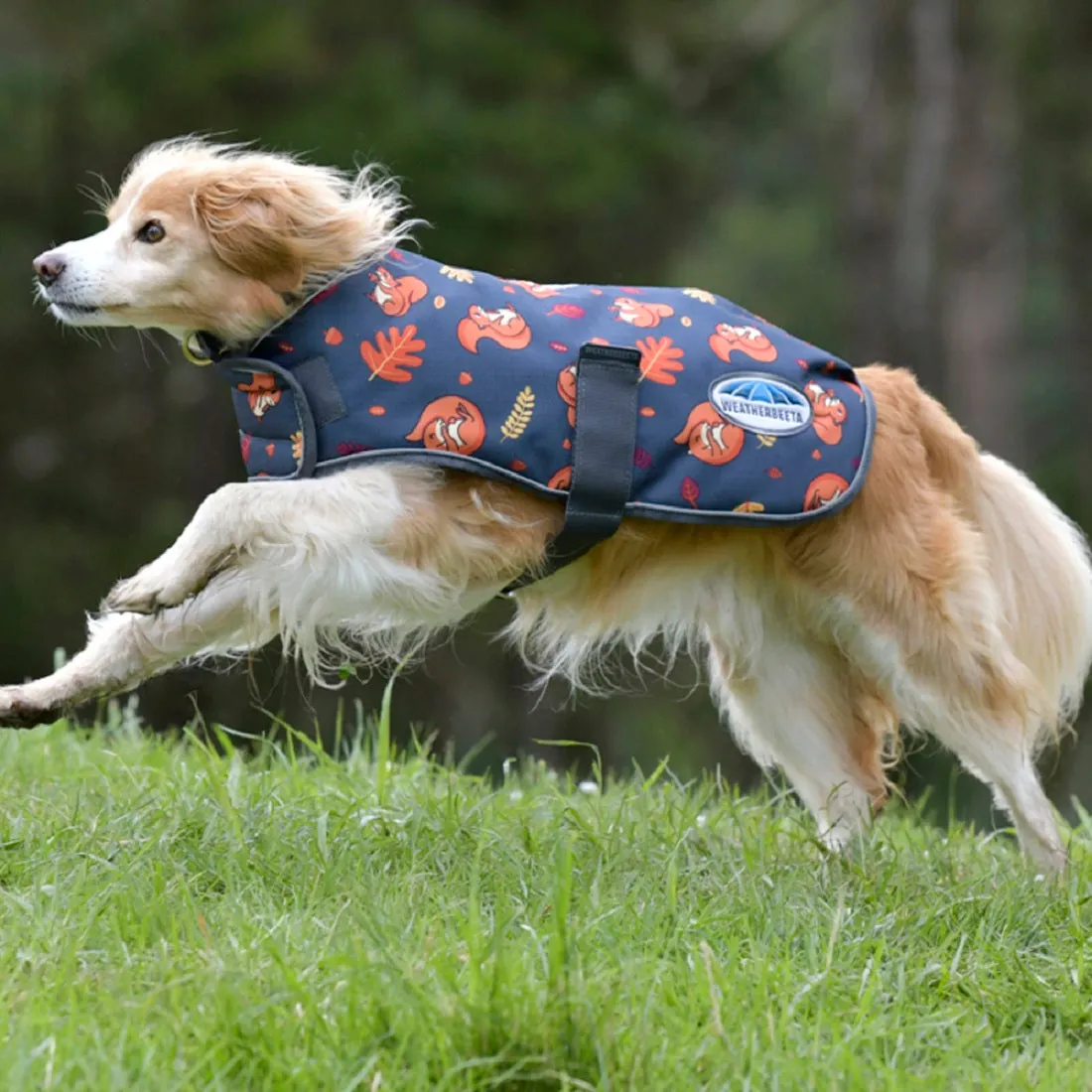 ComFiTec Squirrel Premier Free Parka Dog Coat Medium - Squirrel Print