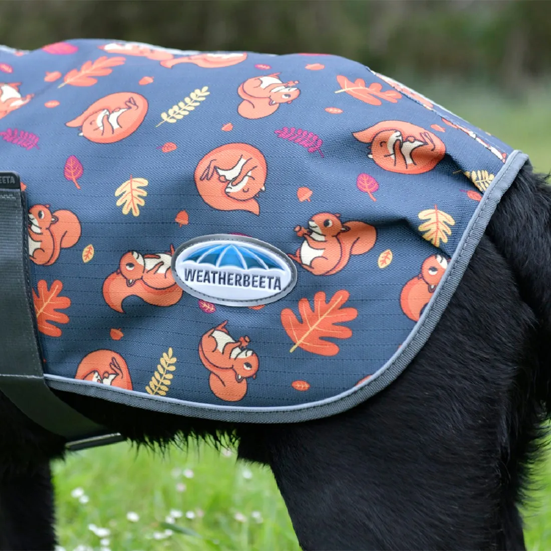 ComFiTec Squirrel Premier Free Parka Dog Coat Medium - Squirrel Print