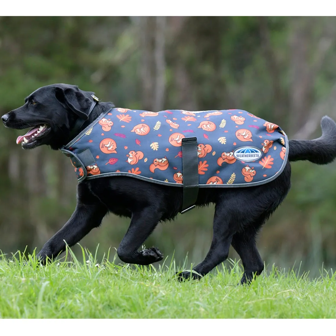 ComFiTec Squirrel Premier Free Parka Dog Coat Medium - Squirrel Print