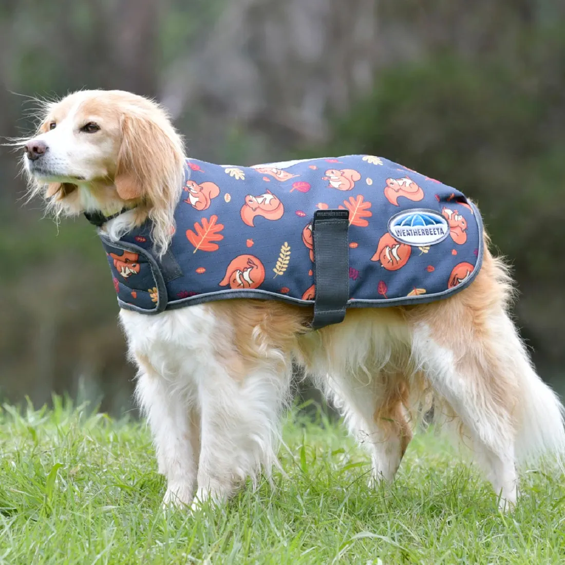 ComFiTec Squirrel Premier Free Parka Dog Coat Medium - Squirrel Print