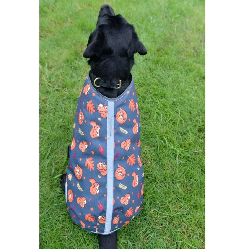 ComFiTec Squirrel Premier Free Parka Dog Coat Medium - Squirrel Print