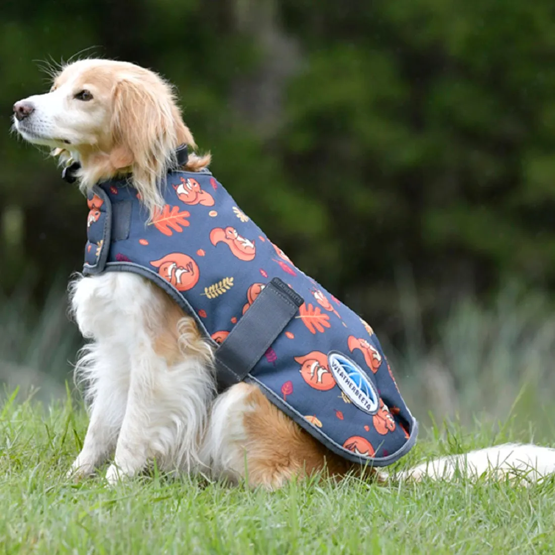 ComFiTec Squirrel Premier Free Parka Dog Coat Medium - Squirrel Print