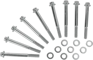 Diamond Engineering PB516S Crankcase 12-Point Polished Stainless Engine Bolt Kit