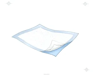 Durasorb Underpads, Durasorb Undrpd 17.5 X 24, (1 CASE, 300 EACH)