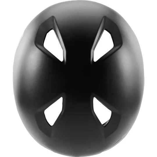 Fox Flight Helmet