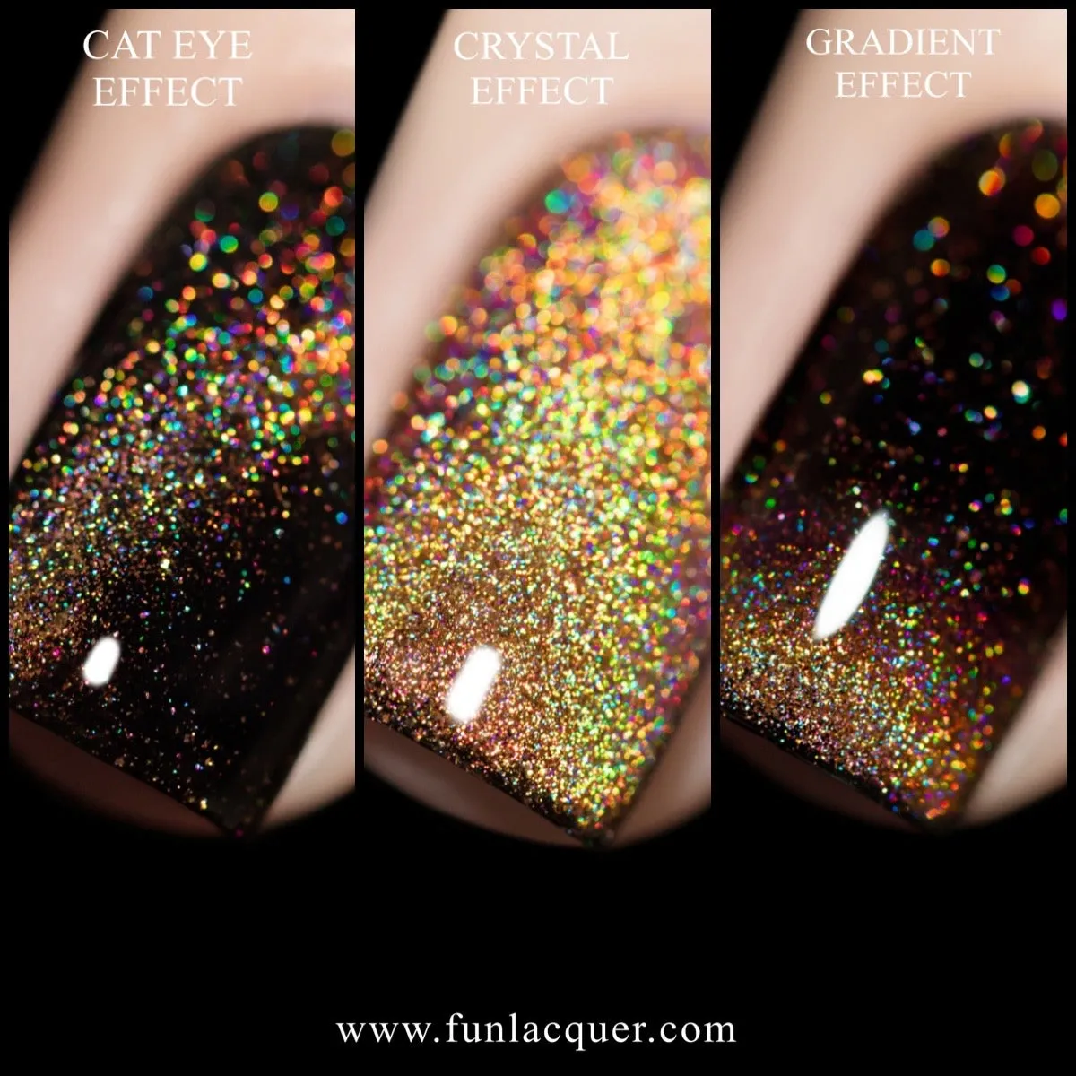 Holonetic Bundle