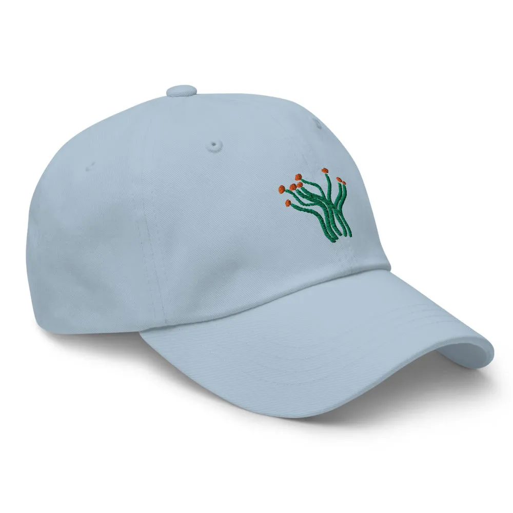 Ocotillo cap