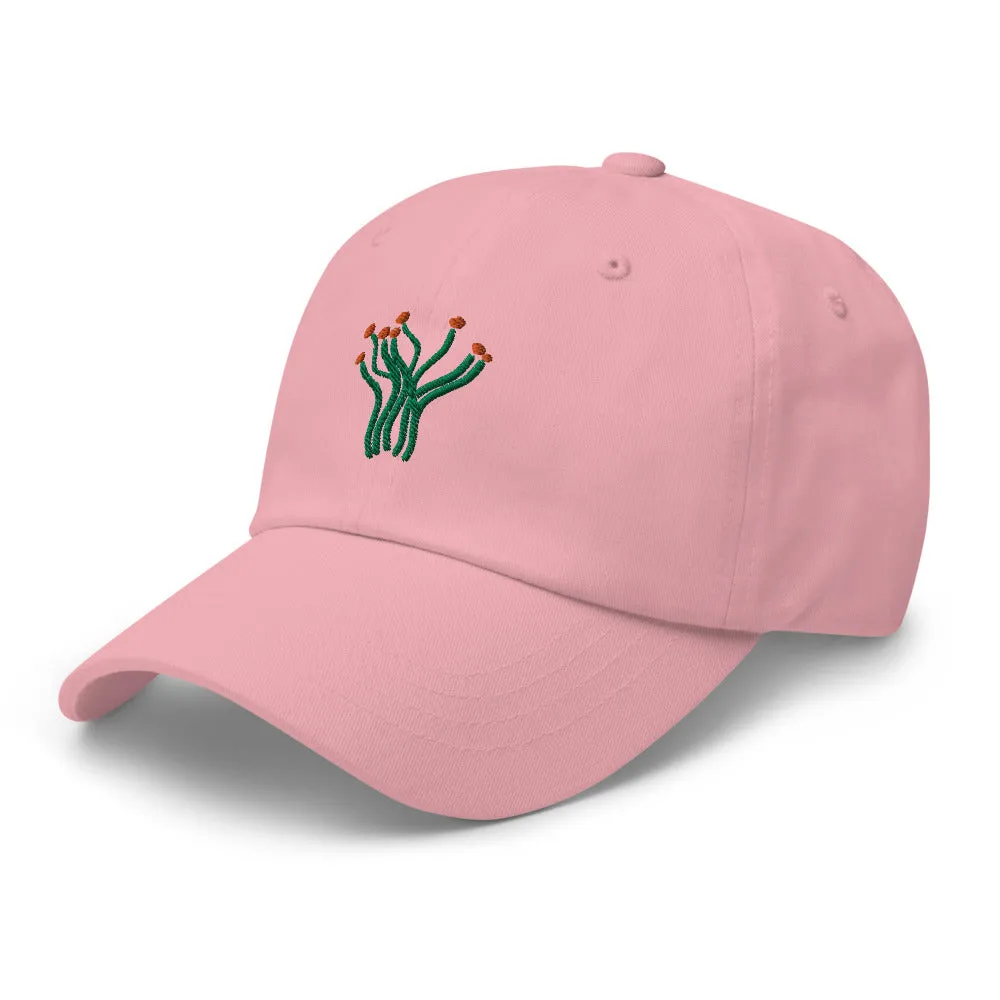 Ocotillo cap