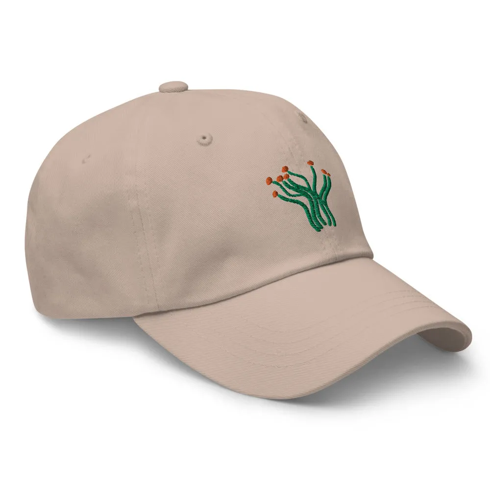 Ocotillo cap