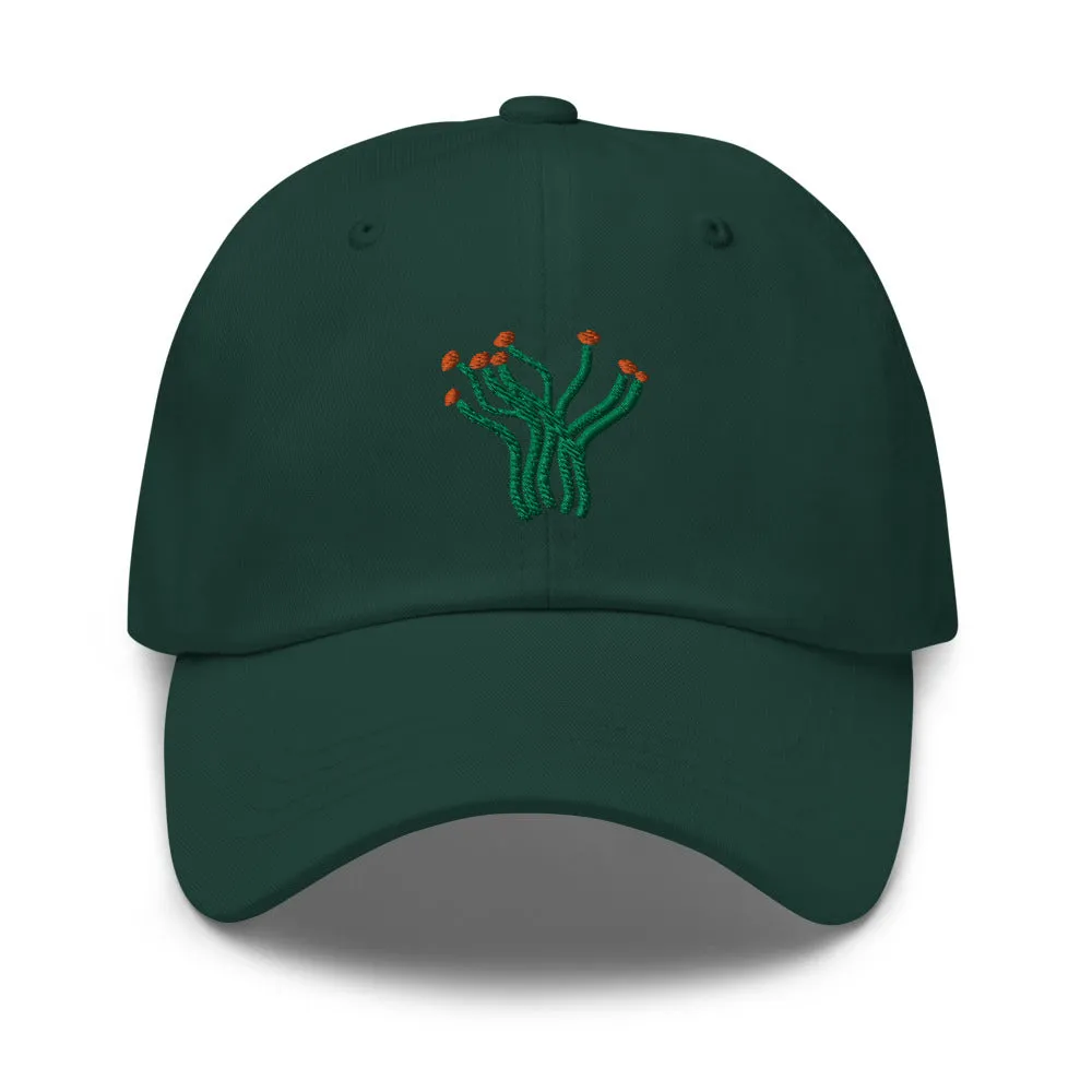 Ocotillo cap