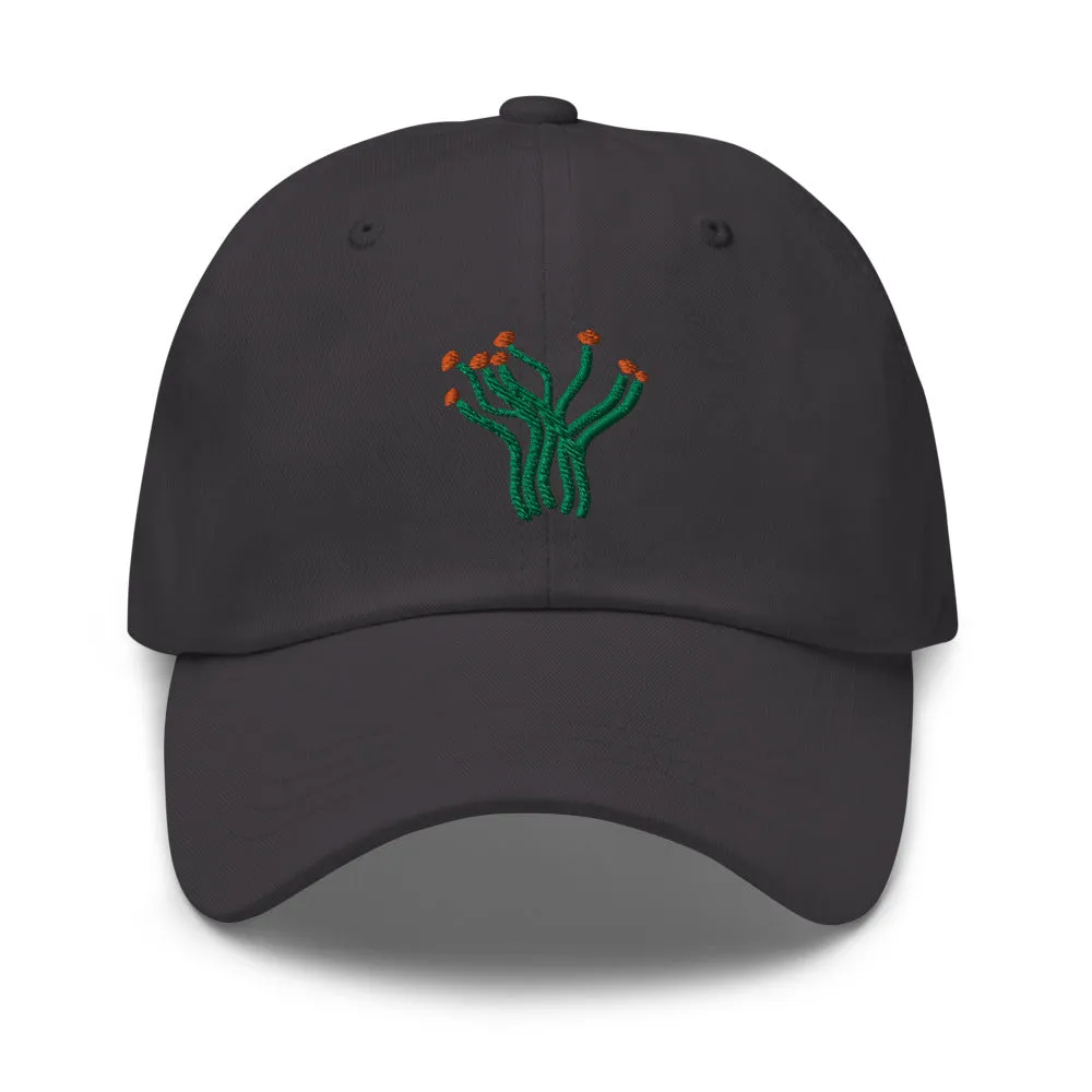 Ocotillo cap