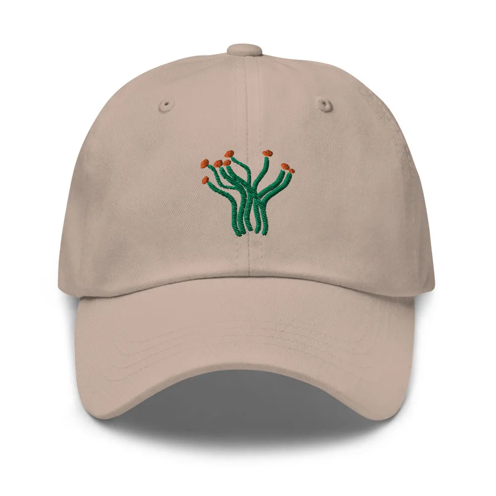 Ocotillo cap