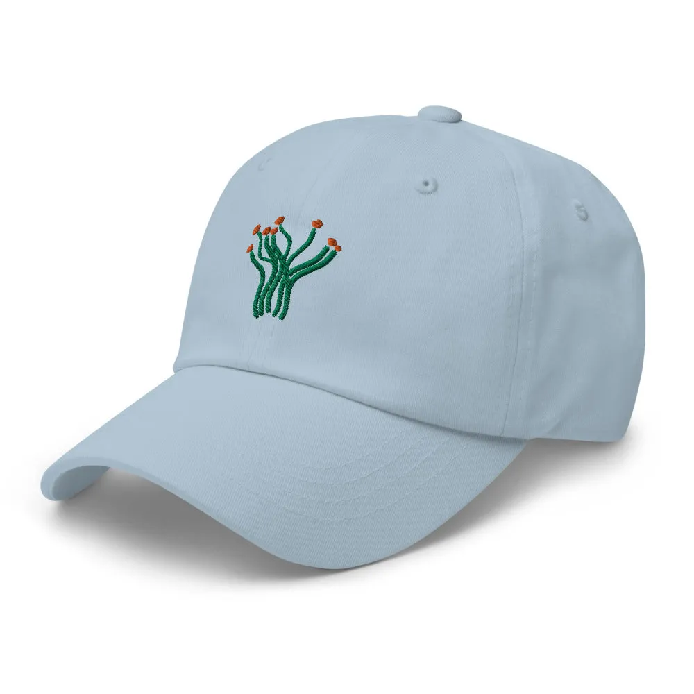 Ocotillo cap