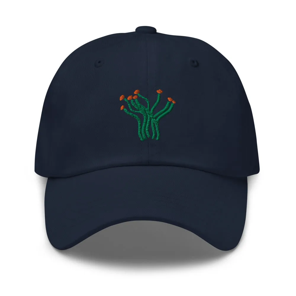 Ocotillo cap