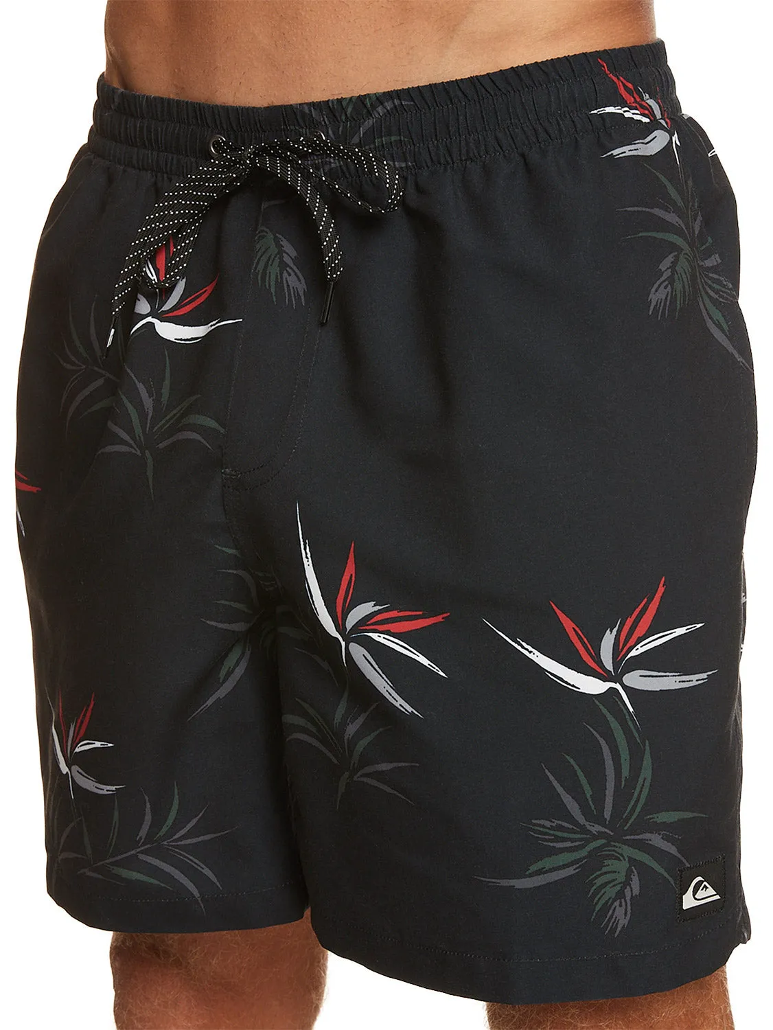Quiksilver Men's Everyday Mix 17" Volley