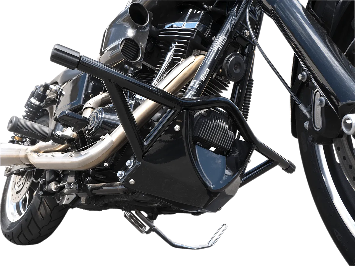 Russ Wernimont Designs RWD-50241R Highway Bar/Skid Plate With Footrests