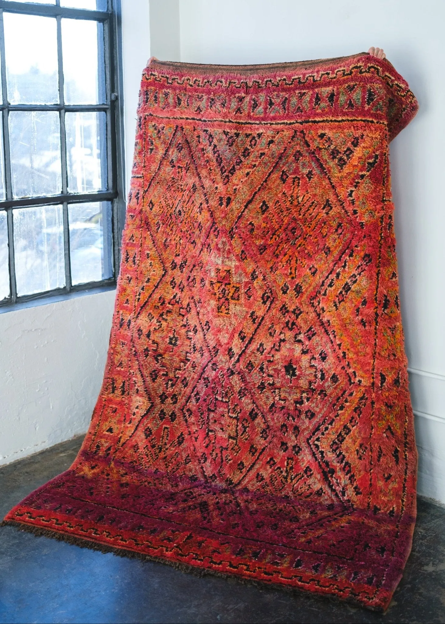Sunrise on the Sahara Area Rug