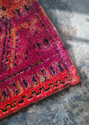 Sunrise on the Sahara Area Rug