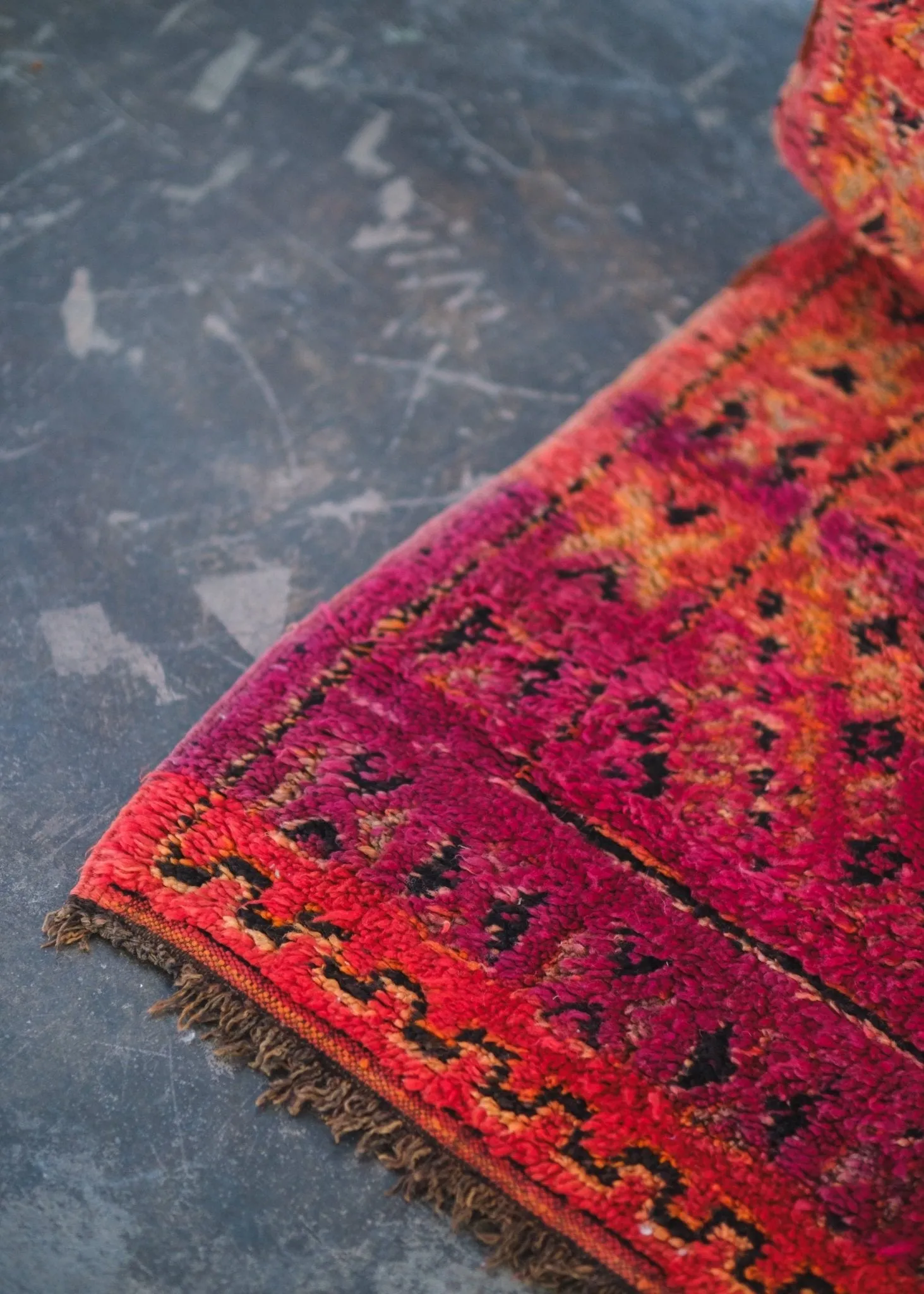 Sunrise on the Sahara Area Rug