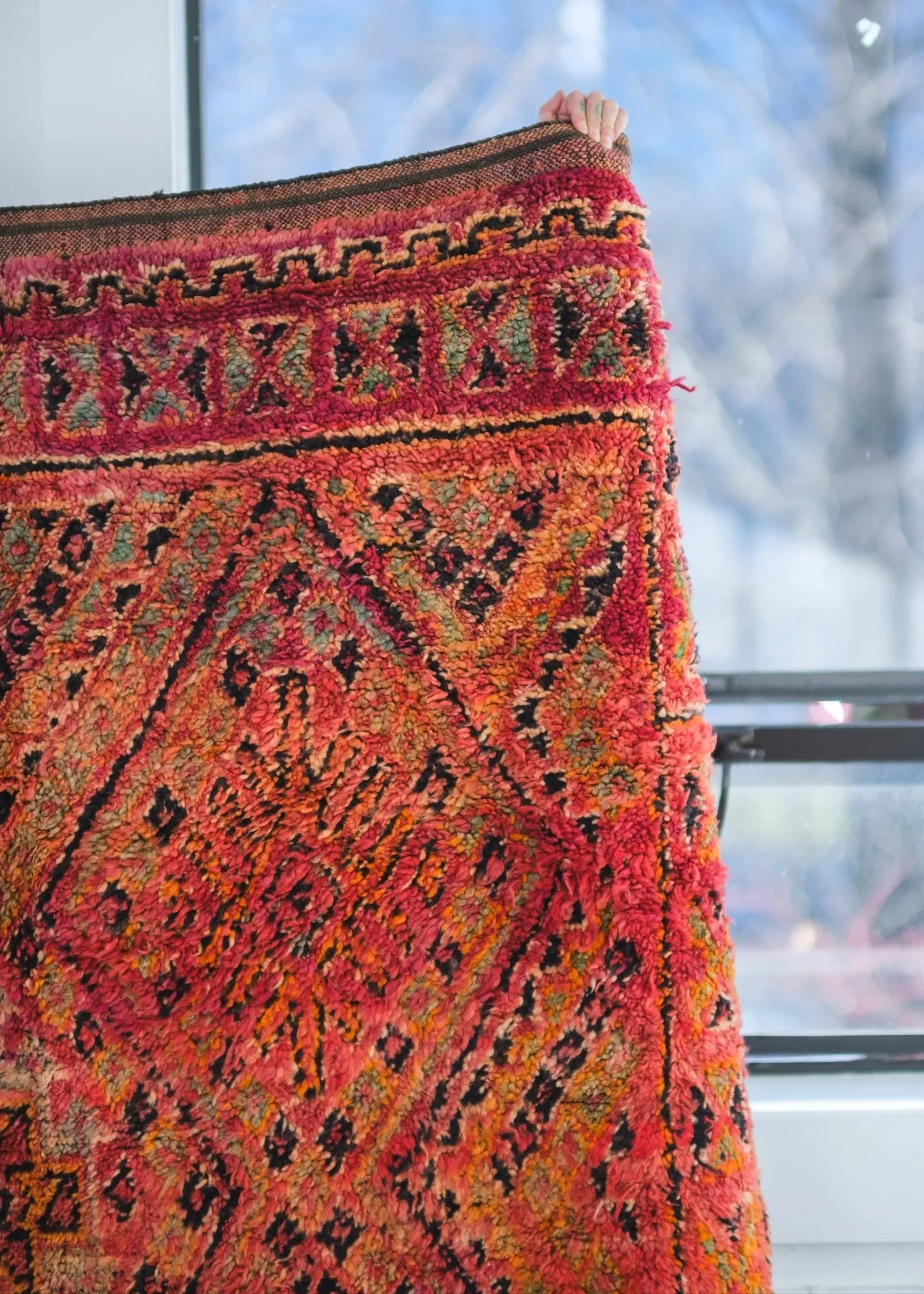 Sunrise on the Sahara Area Rug