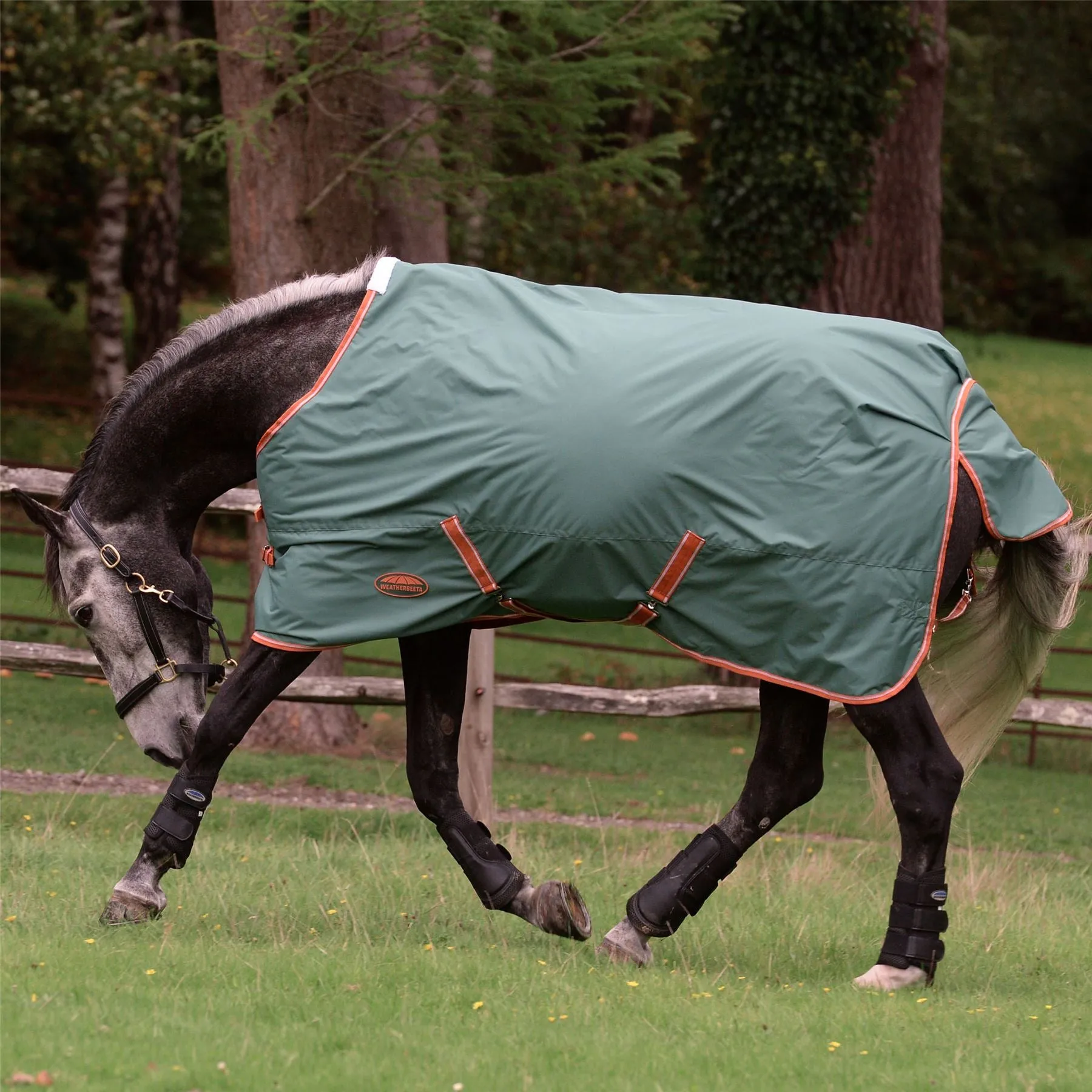 Weatherbeeta Comfitec Tyro Standard Neck Medium